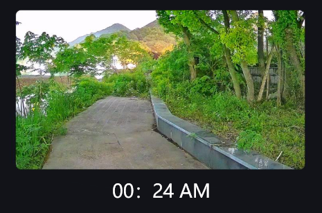 Vedere al buio: una semplice guida alle telecamere di sicurezza per la visione notturna a luce nera